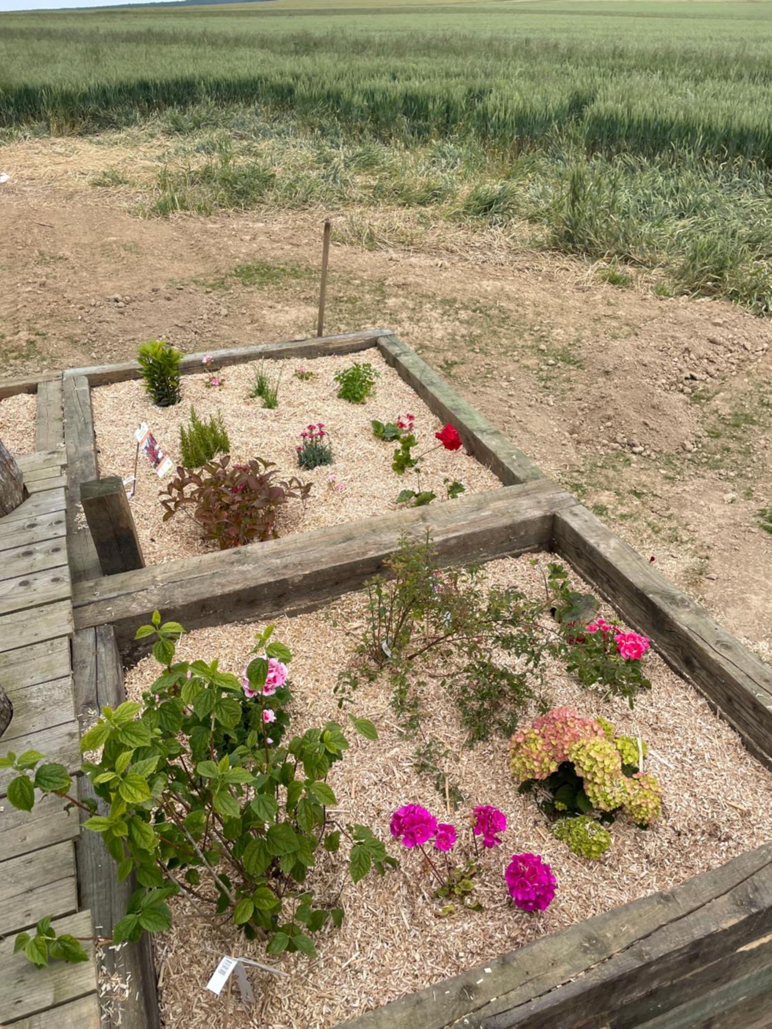 בית הארחה Digny 	Tiny House מראה חיצוני תמונה